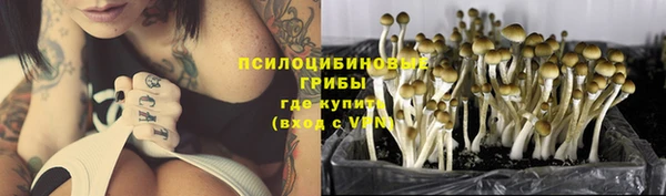 не бодяженный Горнозаводск
