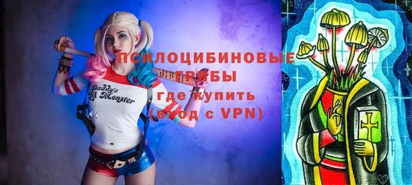 винт Горно-Алтайск