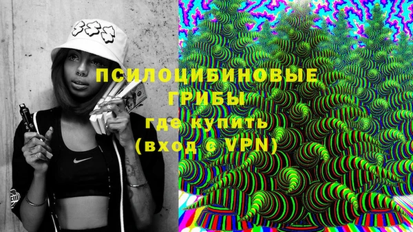 винт Горно-Алтайск